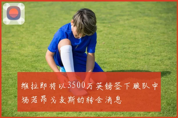 维拉即将以3500万英镑签下狼队中场若昂戈麦斯的转会消息