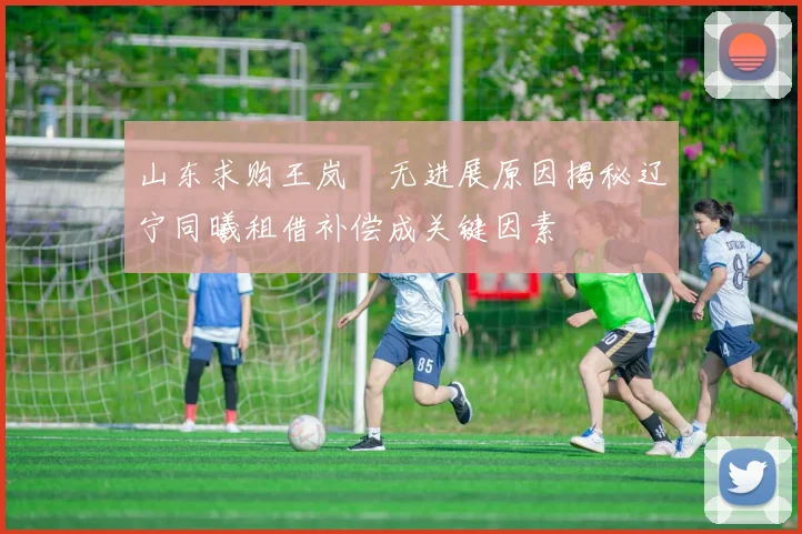 山东求购王岚嵚无进展原因揭秘辽宁同曦租借补偿成关键因素