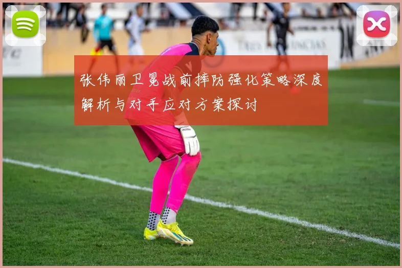 张伟丽卫冕战前摔防强化策略深度解析与对手应对方案探讨