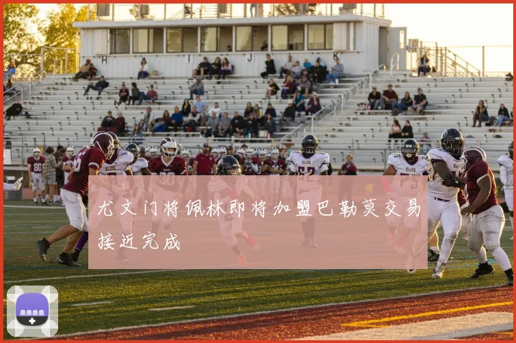 尤文门将佩林即将加盟巴勒莫交易接近完成